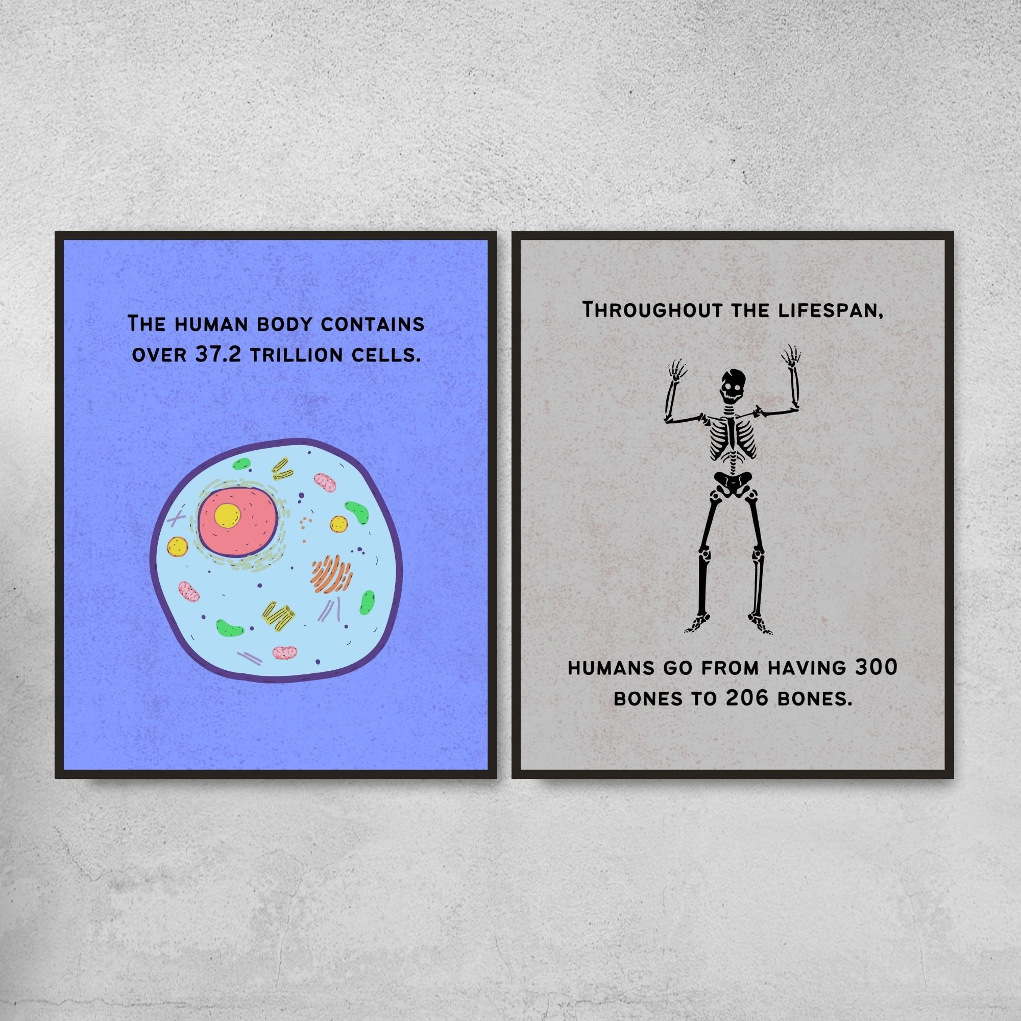 set-of-10-biology-fun-facts-printable-posters-science-classroom-decor