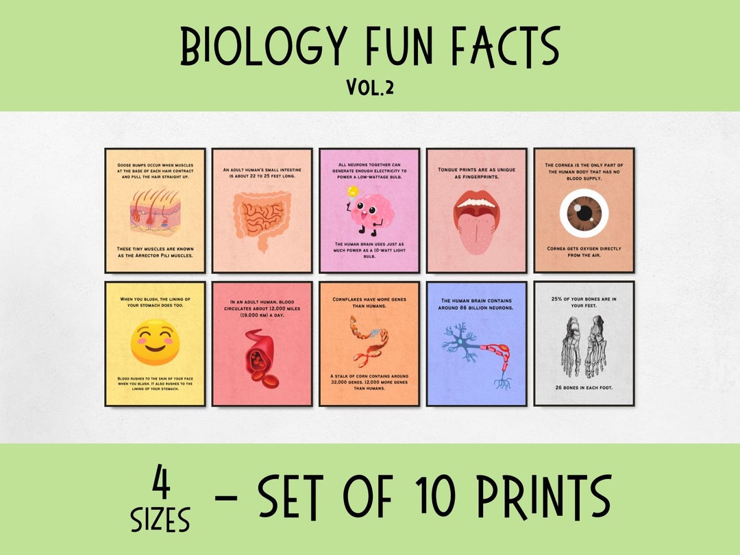 10 Biology Fun Facts Printable Poster Set, Science Classroom Decor for