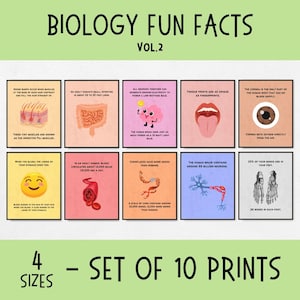 10 lustige Fakten Biologie Poster Set, Naturwissenschaftliches Klassenzimmer Dekor für Mittel- & Oberstufe, Pinnwand Dekor, Lernposter zum selbst ausdrucken
