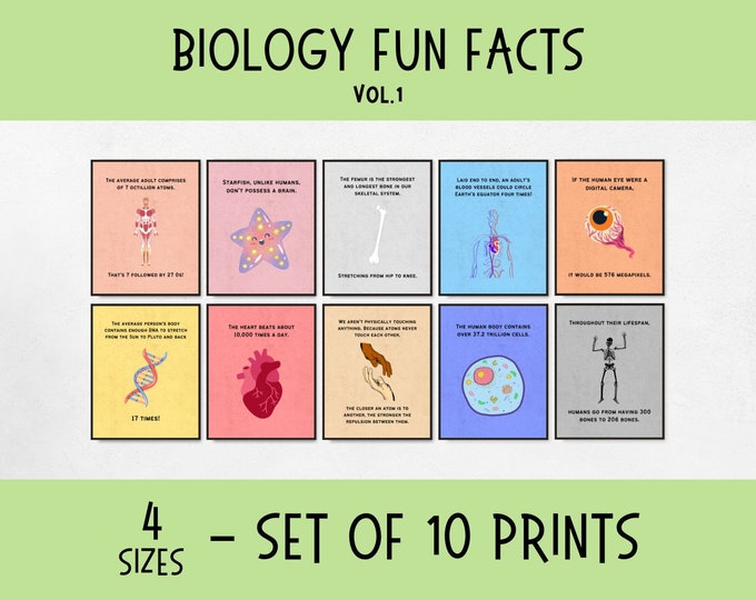 Biology Posters Science Classroom Decor Biology Lab Decor Science ...