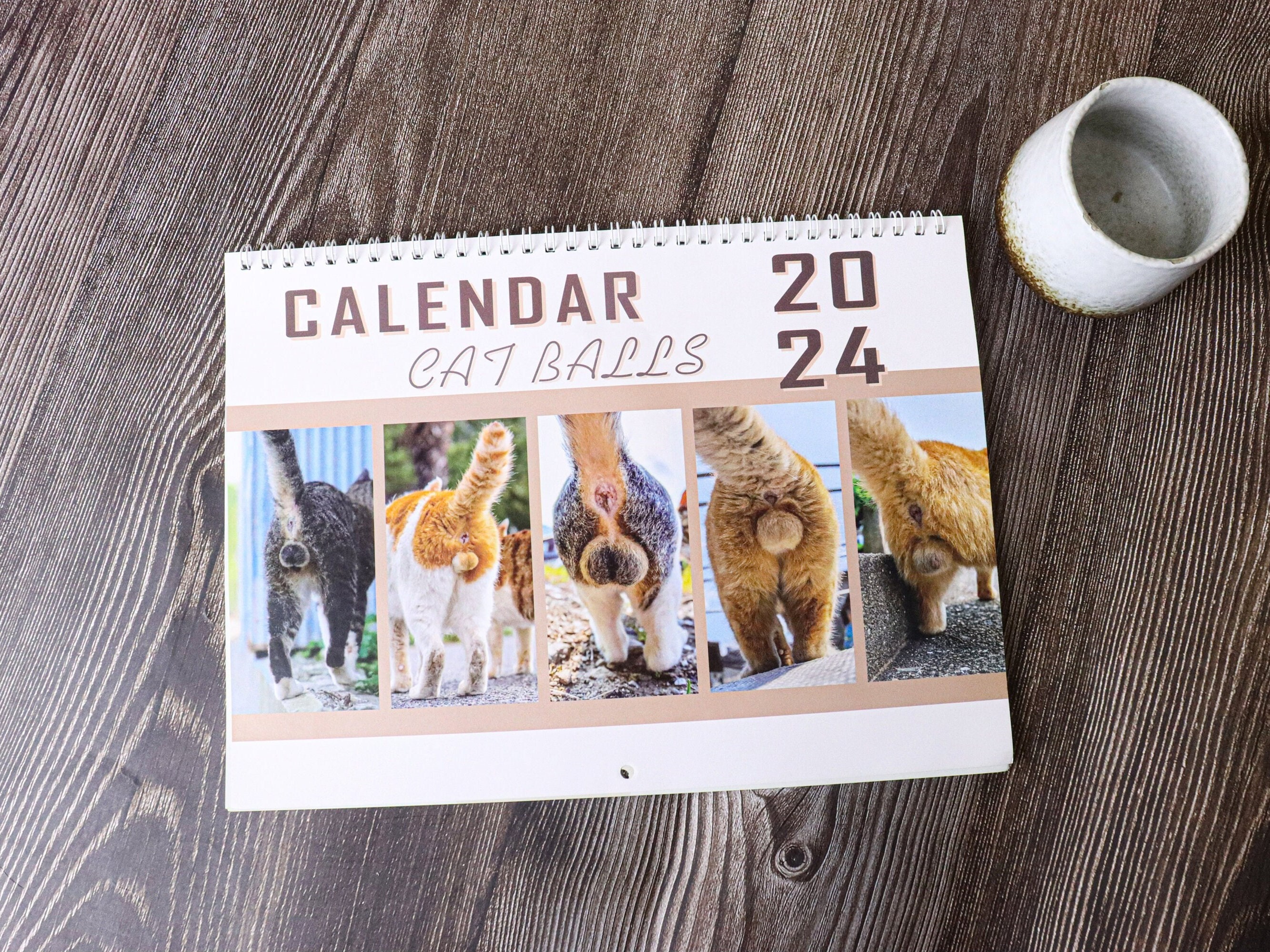 2025 Cat Balls Calendar Funny Gift Exchange Curious Etsy Australia