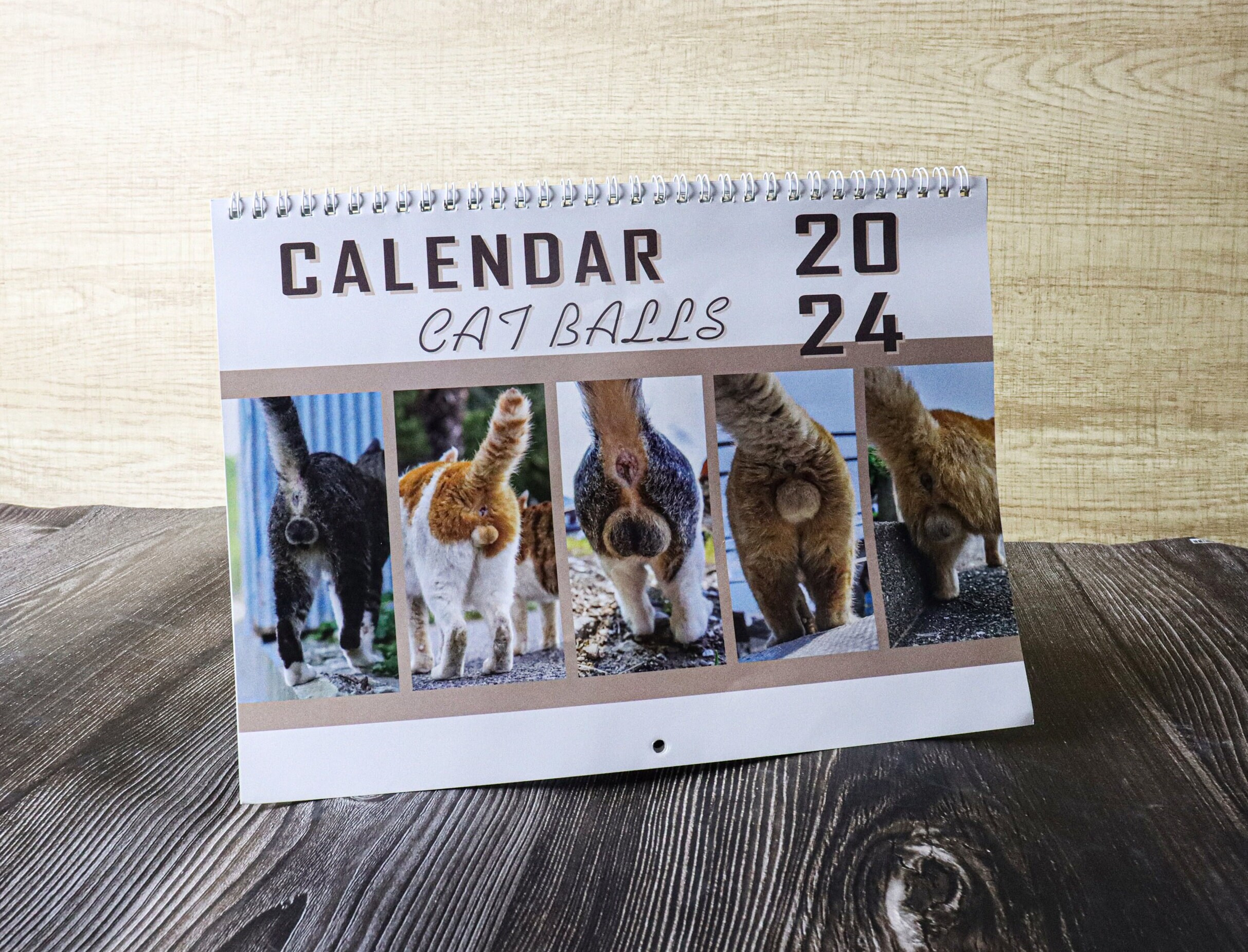2025 Cat Balls Calendar Funny Gift Exchange Curious Etsy Australia