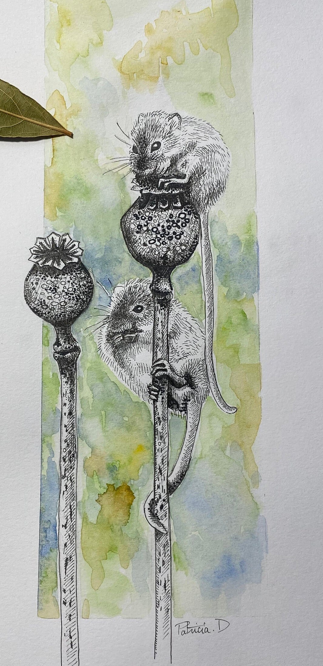 Illustration Petites Souris