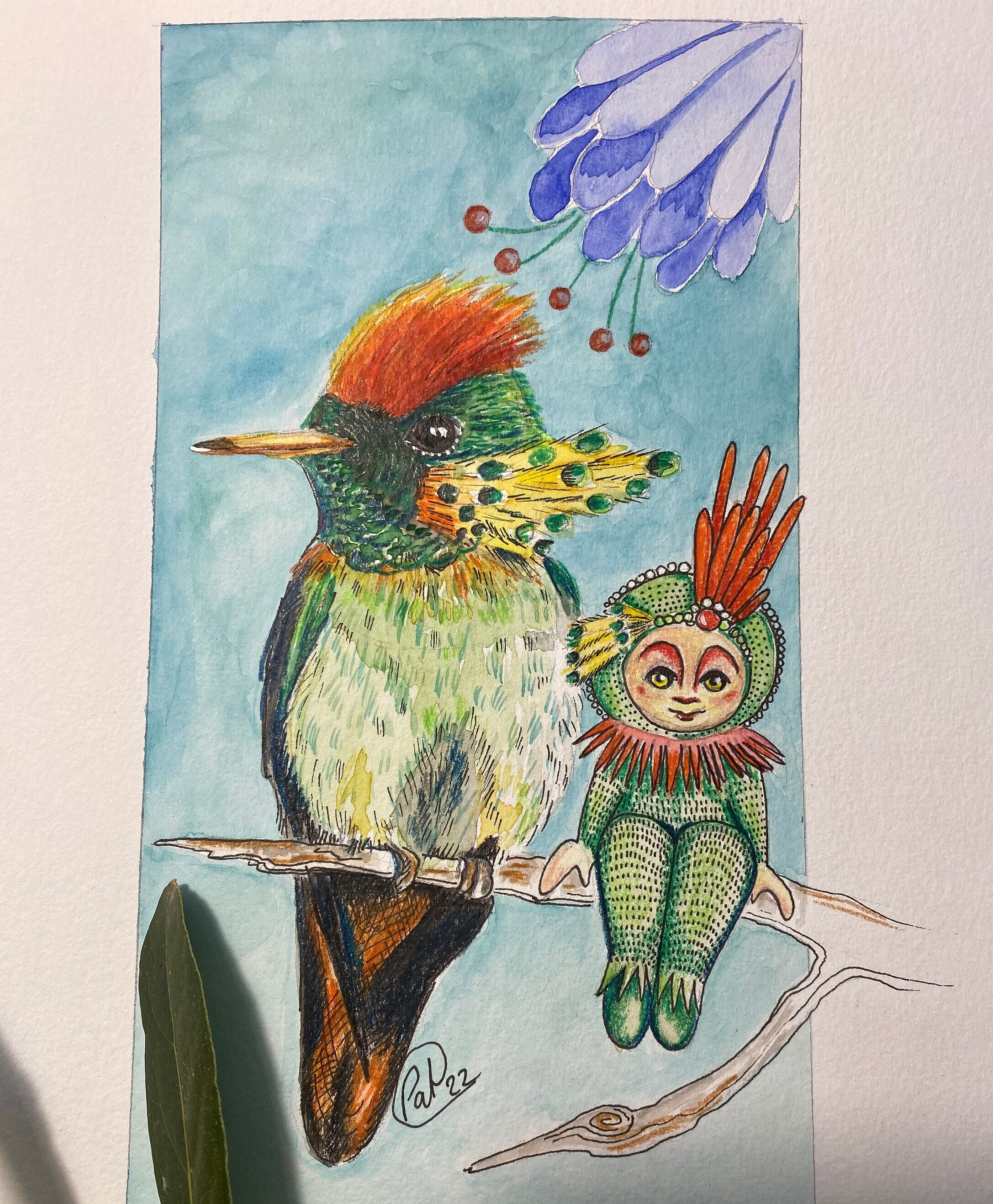 Illustration Les Coquettes Oiseau Coloré et Son Amie