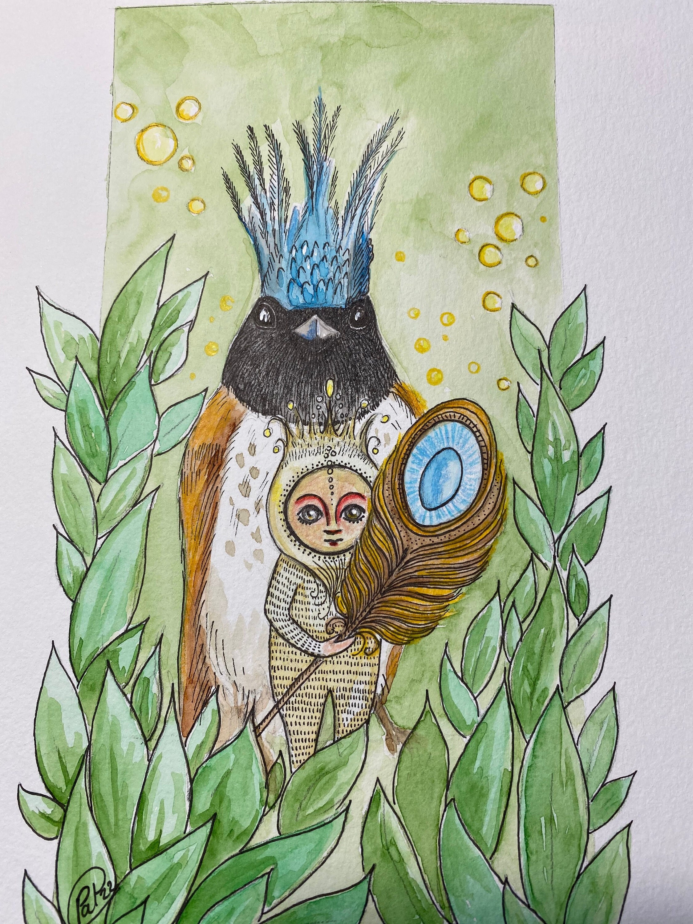 Illustration Oiseau à La Couronne Bleue