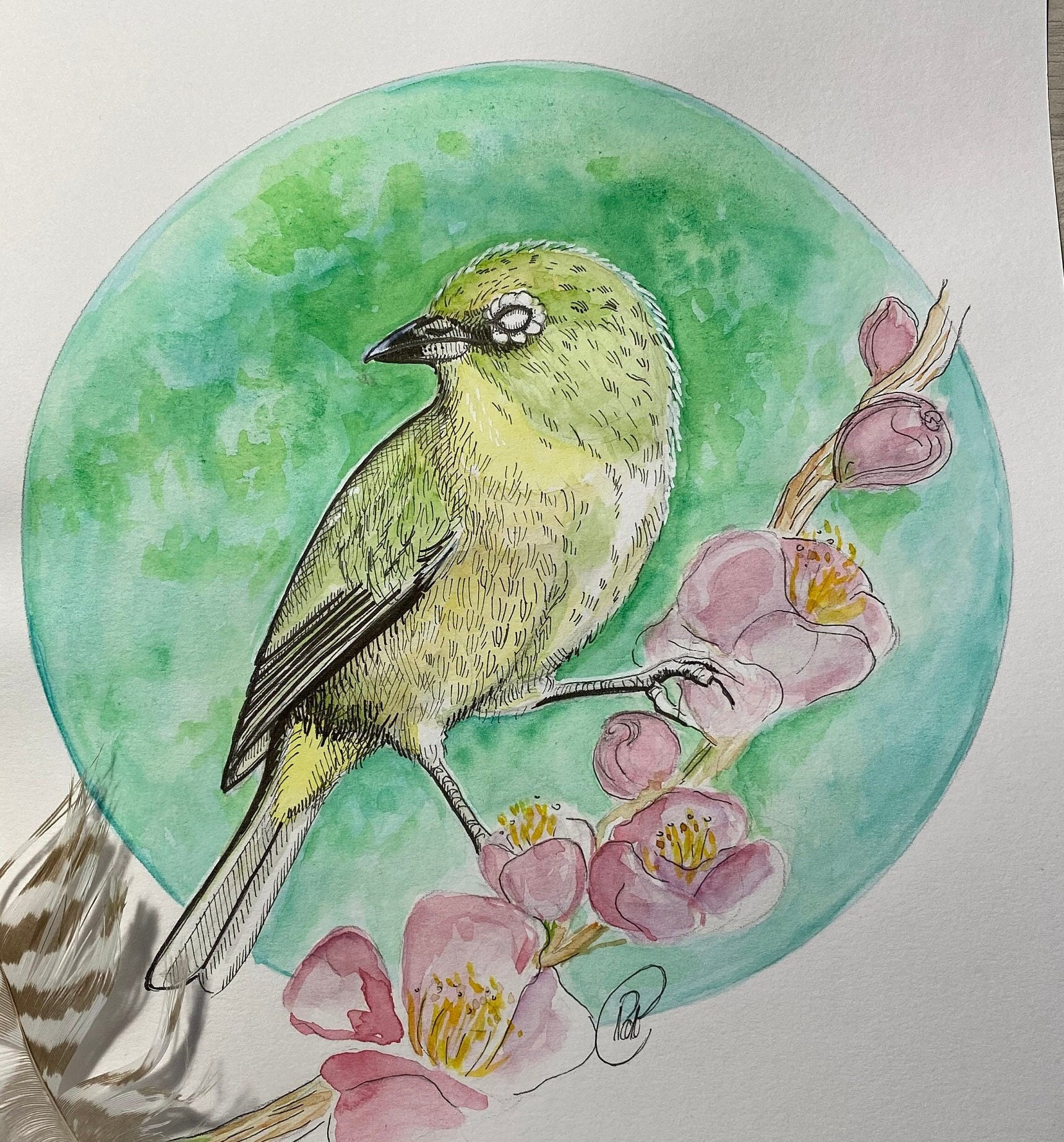 Illustration Oiseau Vert