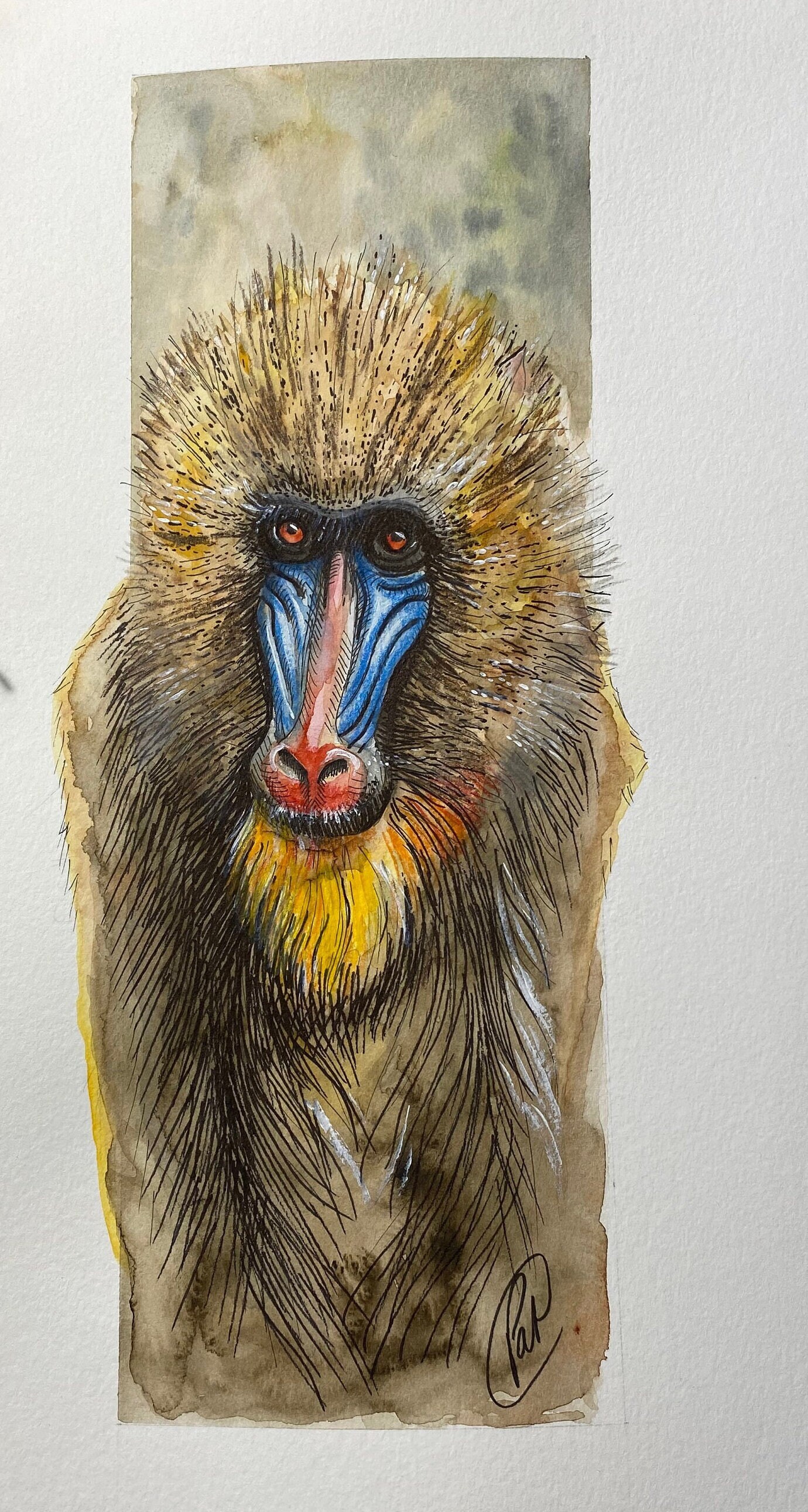 Illustration Babouin