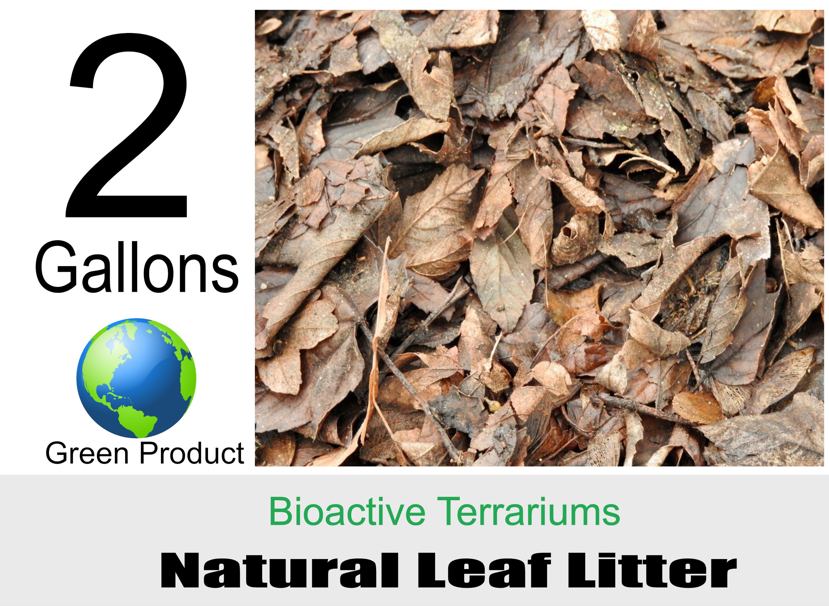 2 Gal Premium Oak Leaf Litter Isopod Substrate | Isopod Leaf Litter | Bioactive Terrarium Leaf Litter | Bioactive Supplies | Leaf Litter