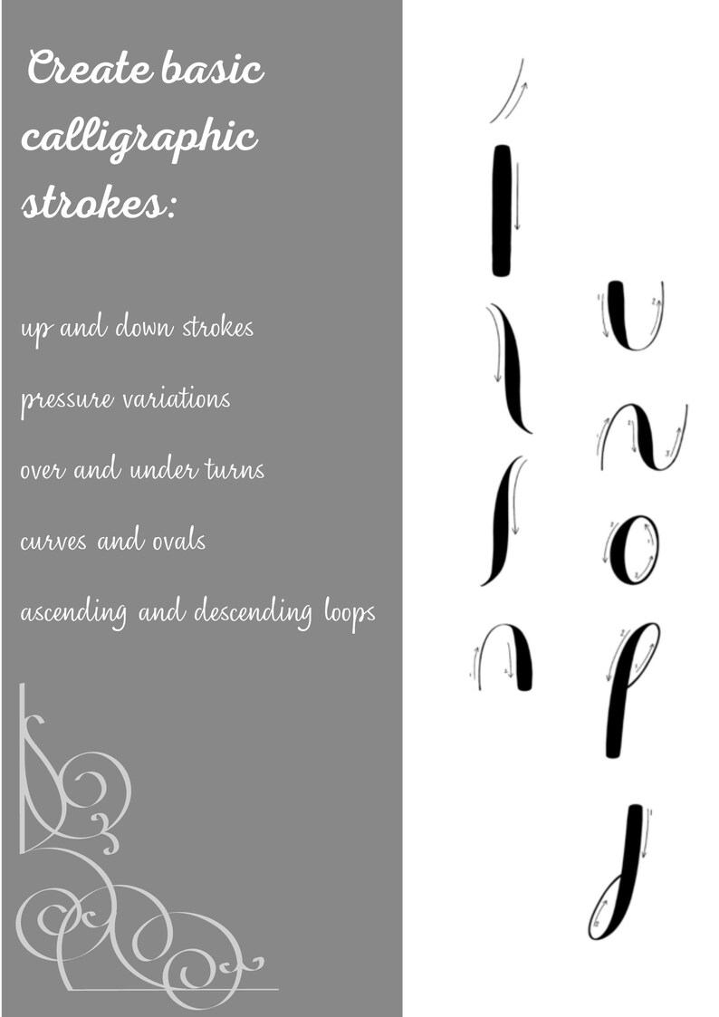 Brushes Set Calligraphy Brushes Calligraphic Brushes