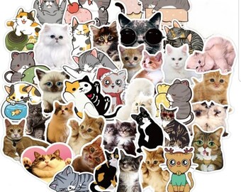 Pack 10 pegatinas para gatos