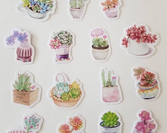 Mini pegatinas suculentas, paquete de 15
