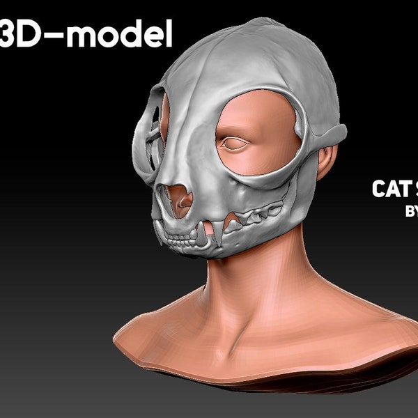 Cat skull STL 3d model set