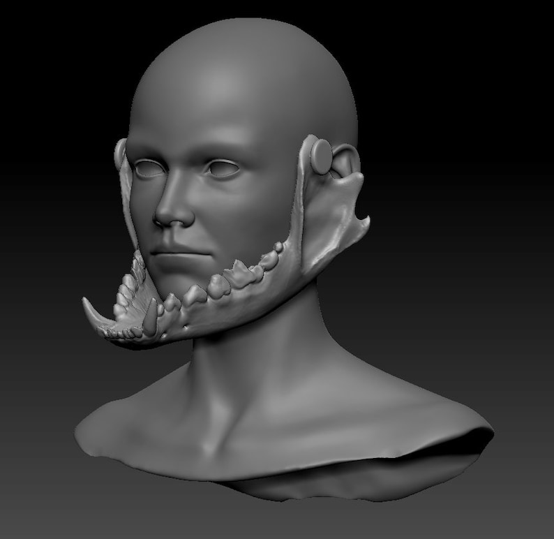 Wolf skull/skulldog STL 3d-model headbase 3d-model kit image 7