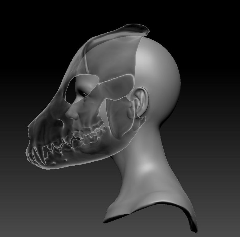 Wolf skull/skulldog STL 3d-model headbase 3d-model kit image 4
