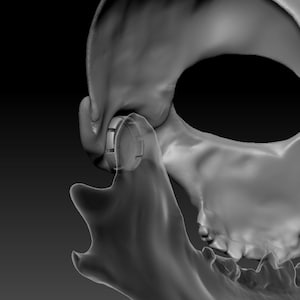 Wolf skull/skulldog STL 3d-model headbase 3d-model kit image 5