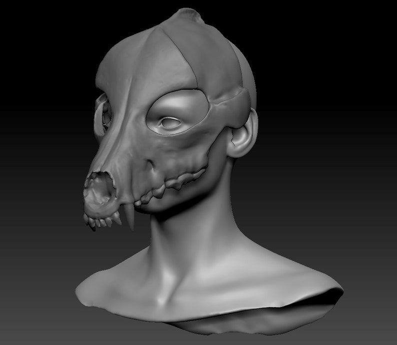 Wolf skull/skulldog STL 3d-model headbase 3d-model kit image 8