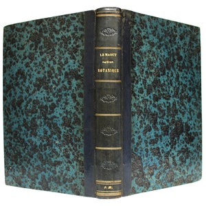 1852 Rare Botanical Book Illustrated with 50 Plates Botany Hand-Colored Engravings Flowers Plants Natural History Flora Antique Book 1800s