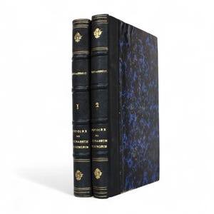1880 History of Saint Elisabeth of Hungary (1207–1231) by Montalembert – Complete Set in 2 Vols –Fold-Out Genealogy – Medieval Europe