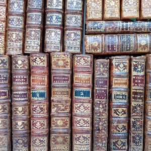 May include: A collection of antique books with aged, textured leather covers. The spines feature gold embossed floral and geometric designs, with titles and volume numbers in various fonts. The books are arranged closely together, creating a visually rich display.
