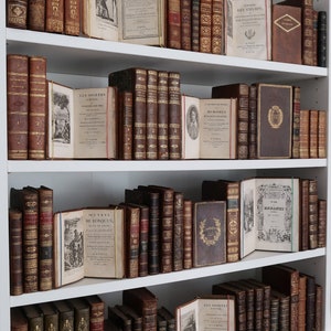 May include: A white bookshelf filled with antique books. The books have leather-bound covers in shades of brown, red, and gold. Some books are open, revealing aged pages with text and illustrations. The overall aesthetic is vintage and scholarly.