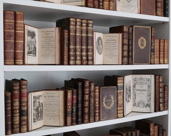 Antique French Book — 17th, 18th, or Early 19th Century — Leather Bindings