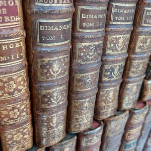 May include: A collection of antique books with brown leather covers and gold lettering and decorative accents. The spines display titles like "Dimanch" and "Sermon de Bourdaloue". The books are arranged in a stacked formation.