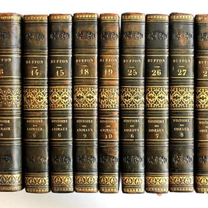 Storia naturale di Buffon, edizione in 9 volumi rilegati in pelle, 1826