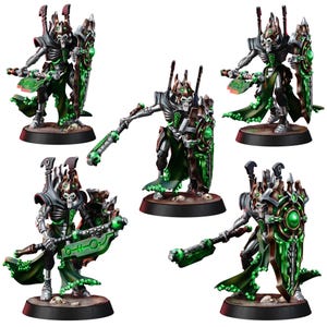 May include: Five miniature skeletal warrior figurines, each in a different pose. They are predominantly silver with green highlights, such as glowing orbs and energy weapons. Each figure has a shield and is mounted on a circular base.