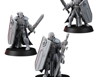 Cavaleiros da Casa Capitular Imperial (3u)