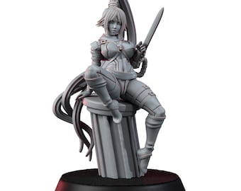 Inquisition Anime Yuroichi Assassin