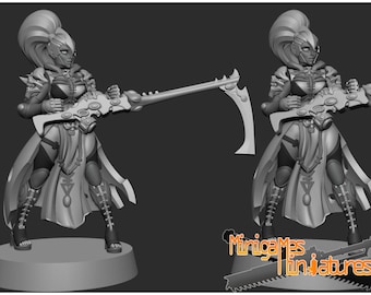 Seigneur elfe de l'espace