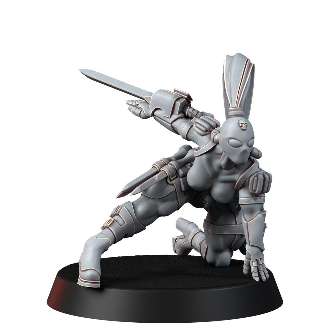 Imperial Shadowblade Assassin Crouching - Etsy