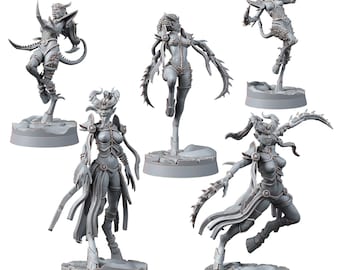 Chaos Succubus Belezas Mortais (5u)