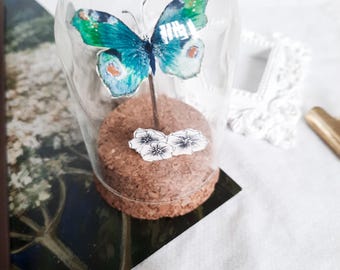 Cloche d'entomologie papillon bleue