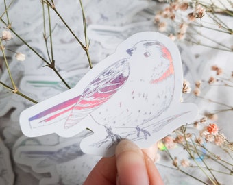 sticker holographique mésange