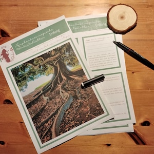 Puede incluir: Una hoja de trabajo imprimible con el título "Nature Walk Adventure Checklist" y una imagen de raíces de árbol. La hoja de trabajo tiene una sección para registrar observaciones y una sección para escribir sobre la experiencia.