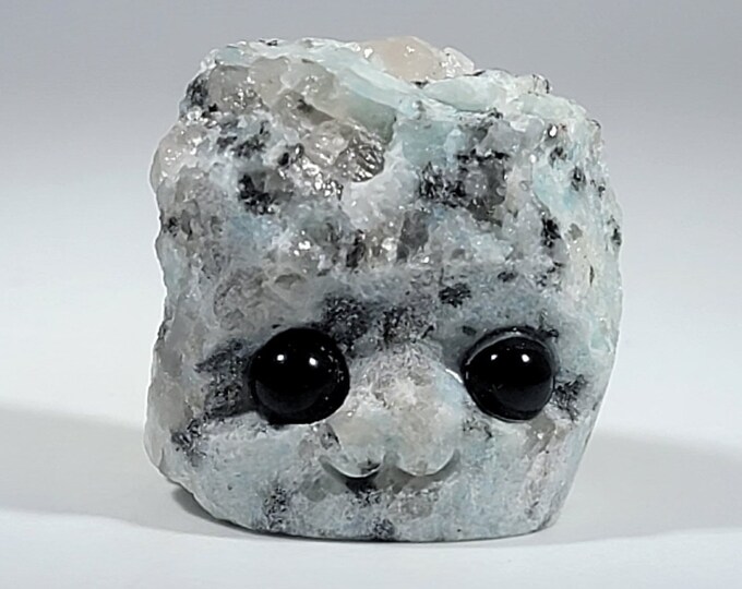 Kiwi Jasper Pet Rock Carving