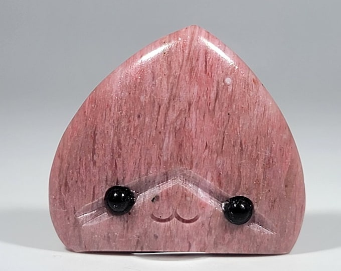 Pink Petrified Wood Pet Rock Carving