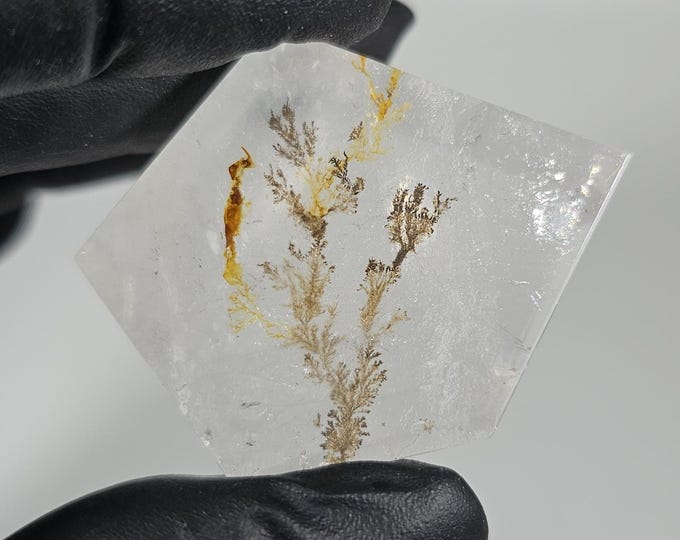 Dendritic Quartz Freeform
