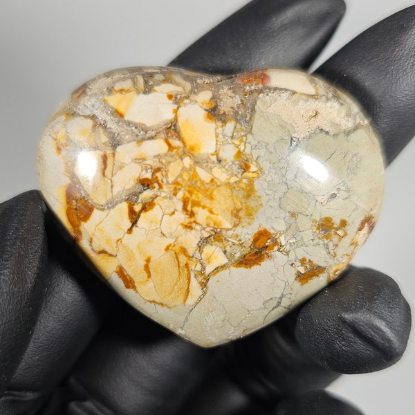 Agatized Ibis Jasper Heart Palm Stone