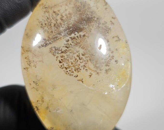Dendritic Golden Healer Palm Stone