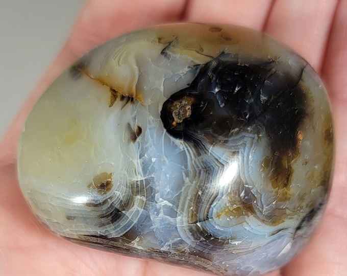 Dendritic Agate Palm Stone