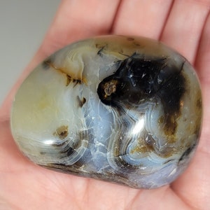 Dendritic Agate Palm Stone