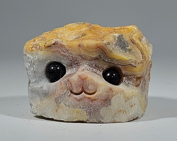 Crazy Lace Agate Pet Rock Carving