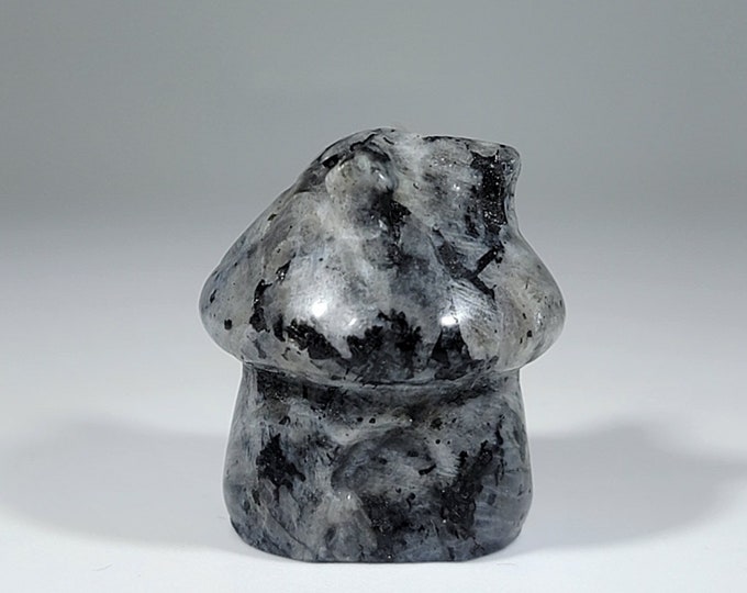 Larvikite Fairy Mushroom House