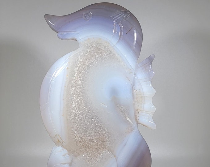 Large Druzy Agate Seahorse Carving