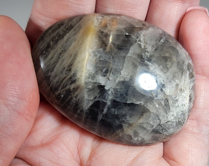Black Moonstone Palm