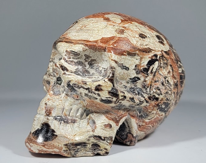 Money Agate Skull