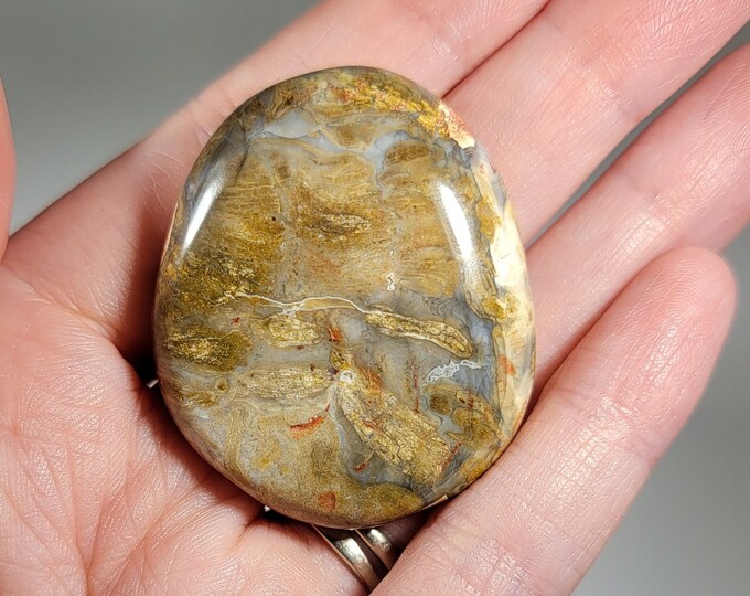 Ocean Jasper Palm Stone