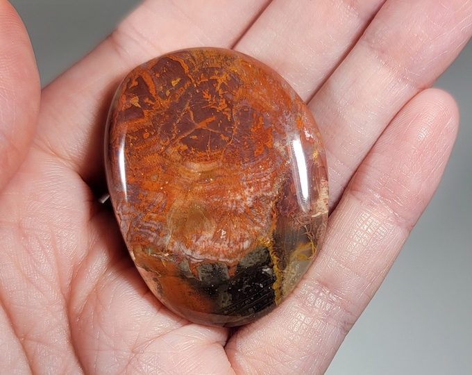 Colorful Ocean Jasper Palm Stone